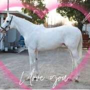 ヒメ日記 2024/12/17 11:29 投稿 本上 松戸おかあさん