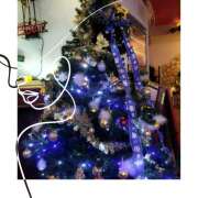 ヒメ日記 2024/12/17 13:54 投稿 本上 松戸おかあさん