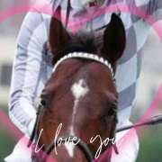 ヒメ日記 2024/12/20 19:00 投稿 本上 松戸おかあさん