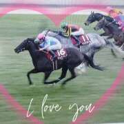 ヒメ日記 2024/12/22 10:18 投稿 本上 松戸おかあさん