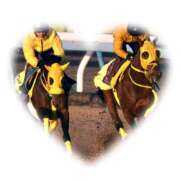 ヒメ日記 2024/12/26 10:57 投稿 本上 松戸おかあさん