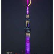 ヒメ日記 2024/12/28 20:26 投稿 本上 松戸おかあさん