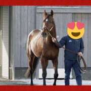 ヒメ日記 2025/01/01 17:38 投稿 本上 松戸おかあさん