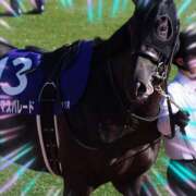 ヒメ日記 2025/01/04 16:46 投稿 本上 松戸おかあさん