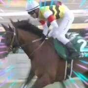 ヒメ日記 2025/01/06 08:00 投稿 本上 松戸おかあさん