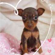 ヒメ日記 2025/01/06 23:10 投稿 本上 松戸おかあさん