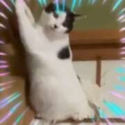 ヒメ日記 2025/01/15 22:55 投稿 本上 松戸おかあさん