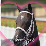 ヒメ日記 2025/01/16 21:42 投稿 本上 松戸おかあさん