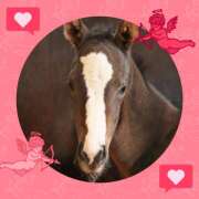 ヒメ日記 2025/01/17 20:49 投稿 本上 松戸おかあさん