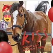 ヒメ日記 2025/01/19 10:51 投稿 本上 松戸おかあさん