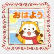 ヒメ日記 2025/02/12 12:27 投稿 本上 松戸おかあさん