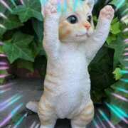 ヒメ日記 2025/02/13 14:44 投稿 本上 松戸おかあさん