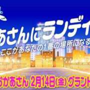 ヒメ日記 2025/02/13 17:13 投稿 本上 松戸おかあさん