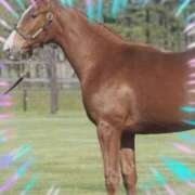 ヒメ日記 2025/02/13 18:05 投稿 本上 松戸おかあさん