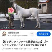 ヒメ日記 2025/02/14 13:40 投稿 本上 松戸おかあさん