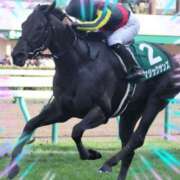 ヒメ日記 2025/02/17 13:57 投稿 本上 松戸おかあさん