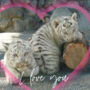 ヒメ日記 2025/02/22 22:08 投稿 本上 松戸おかあさん