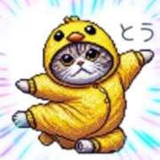 ヒメ日記 2025/02/28 08:09 投稿 本上 松戸おかあさん