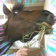 ヒメ日記 2025/03/02 19:59 投稿 本上 松戸おかあさん