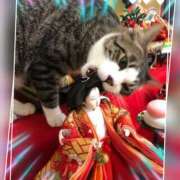 ヒメ日記 2025/03/03 12:05 投稿 本上 松戸おかあさん