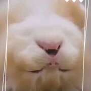 ヒメ日記 2025/03/04 14:41 投稿 本上 松戸おかあさん