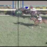 ヒメ日記 2025/03/10 08:47 投稿 本上 松戸おかあさん