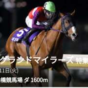 ヒメ日記 2025/03/11 12:05 投稿 本上 松戸おかあさん