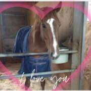 ヒメ日記 2025/03/22 17:51 投稿 本上 松戸おかあさん