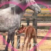 ヒメ日記 2025/03/27 08:44 投稿 本上 松戸おかあさん