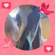 ヒメ日記 2025/03/27 17:40 投稿 本上 松戸おかあさん