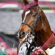 ヒメ日記 2025/03/31 11:56 投稿 本上 松戸おかあさん