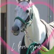 ヒメ日記 2025/04/09 17:51 投稿 本上 松戸おかあさん