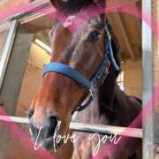 ヒメ日記 2025/04/11 19:16 投稿 本上 松戸おかあさん