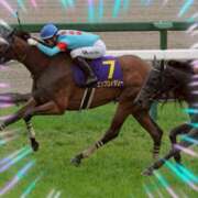 ヒメ日記 2025/04/13 16:34 投稿 本上 松戸おかあさん