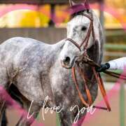 ヒメ日記 2025/04/14 08:15 投稿 本上 松戸おかあさん