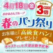 ヒメ日記 2025/04/14 12:32 投稿 本上 松戸おかあさん