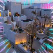 ヒメ日記 2025/04/23 20:30 投稿 本上 松戸おかあさん