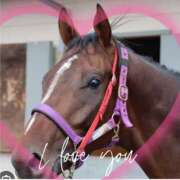 ヒメ日記 2025/05/05 08:44 投稿 本上 松戸おかあさん