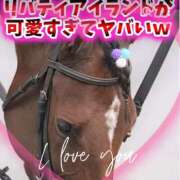 ヒメ日記 2025/05/05 14:53 投稿 本上 松戸おかあさん