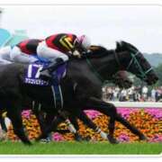 ヒメ日記 2025/05/19 10:09 投稿 本上 松戸おかあさん