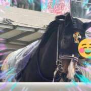 ヒメ日記 2025/05/25 12:53 投稿 本上 松戸おかあさん