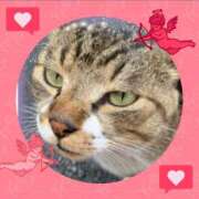 ヒメ日記 2025/05/27 20:28 投稿 本上 松戸おかあさん