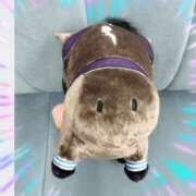 ヒメ日記 2025/06/01 12:55 投稿 本上 松戸おかあさん