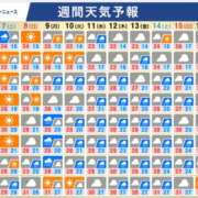ヒメ日記 2025/06/06 08:10 投稿 本上 松戸おかあさん