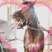 ヒメ日記 2025/06/11 08:53 投稿 本上 松戸おかあさん