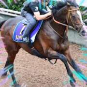 ヒメ日記 2025/06/12 22:36 投稿 本上 松戸おかあさん