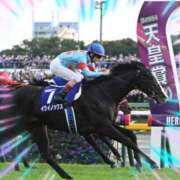 ヒメ日記 2025/06/18 11:53 投稿 本上 松戸おかあさん