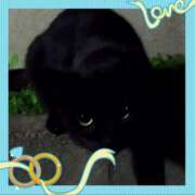 ヒメ日記 2025/06/25 14:14 投稿 本上 松戸おかあさん