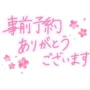 ヒメ日記 2025/06/28 10:10 投稿 本上 松戸おかあさん