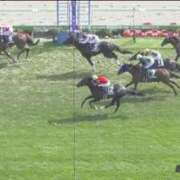 ヒメ日記 2025/06/29 15:58 投稿 本上 松戸おかあさん